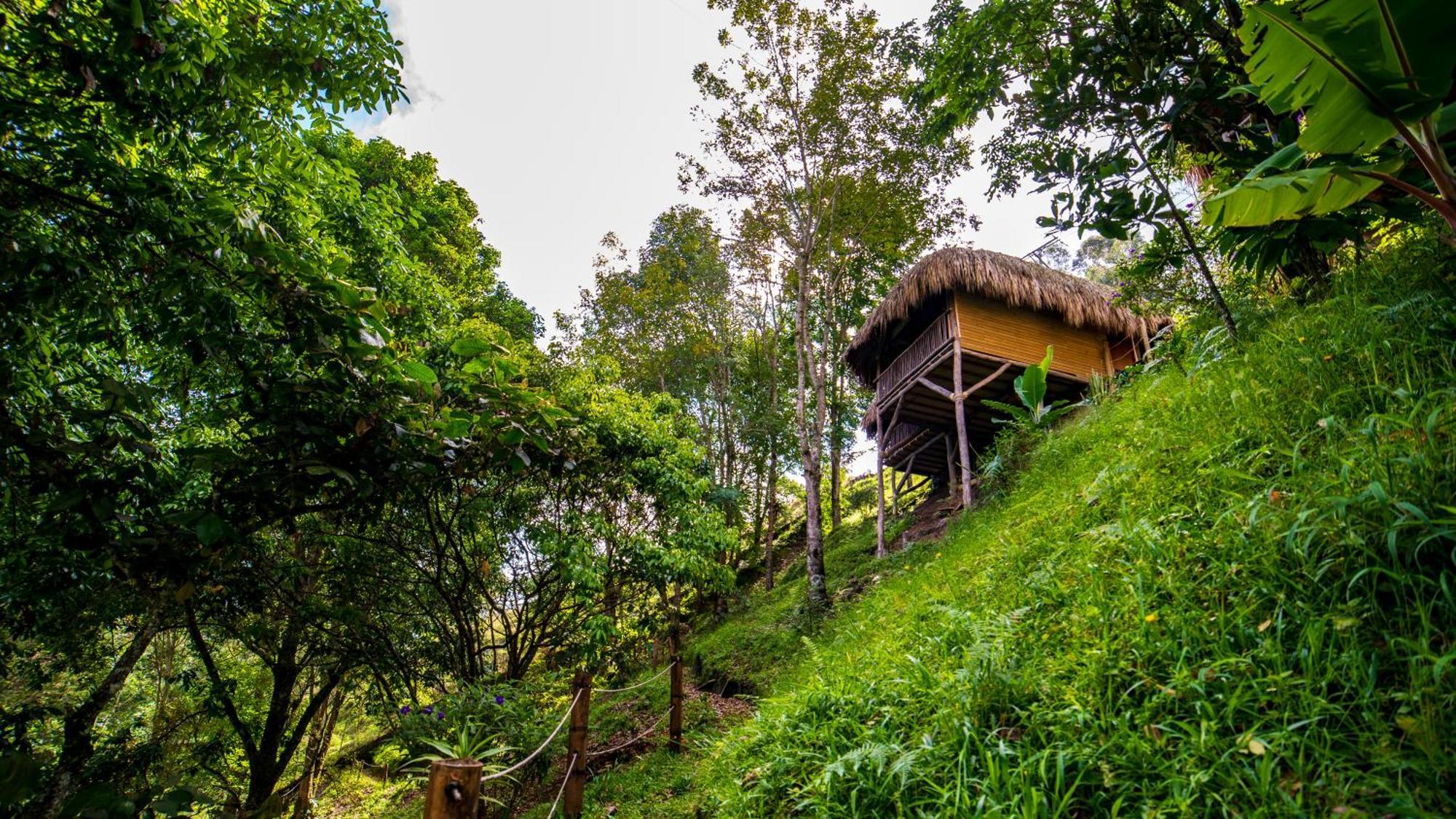 Kawa Mountain Retreat