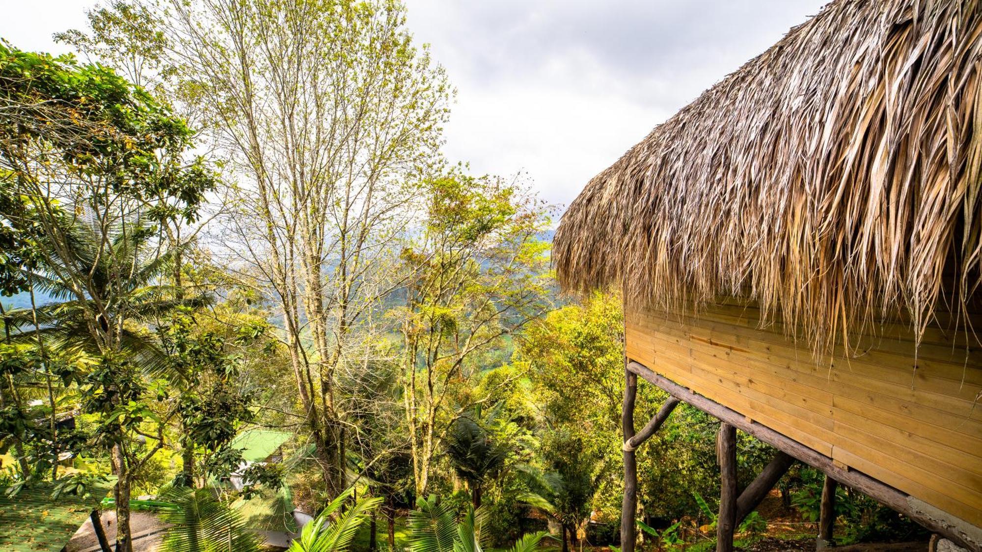 Kawa Mountain Retreat Hotel