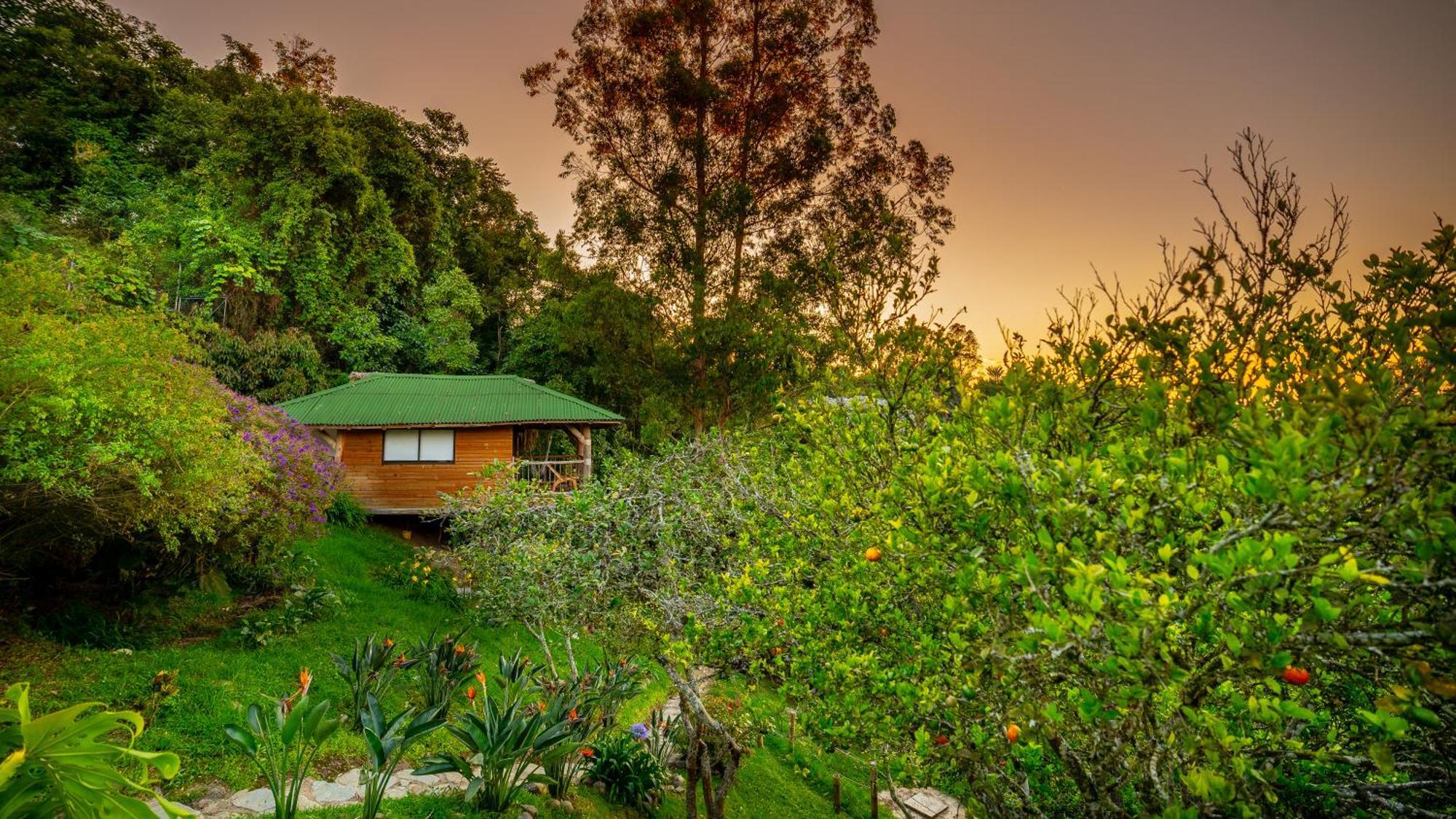 Kawa Mountain Retreat 4*