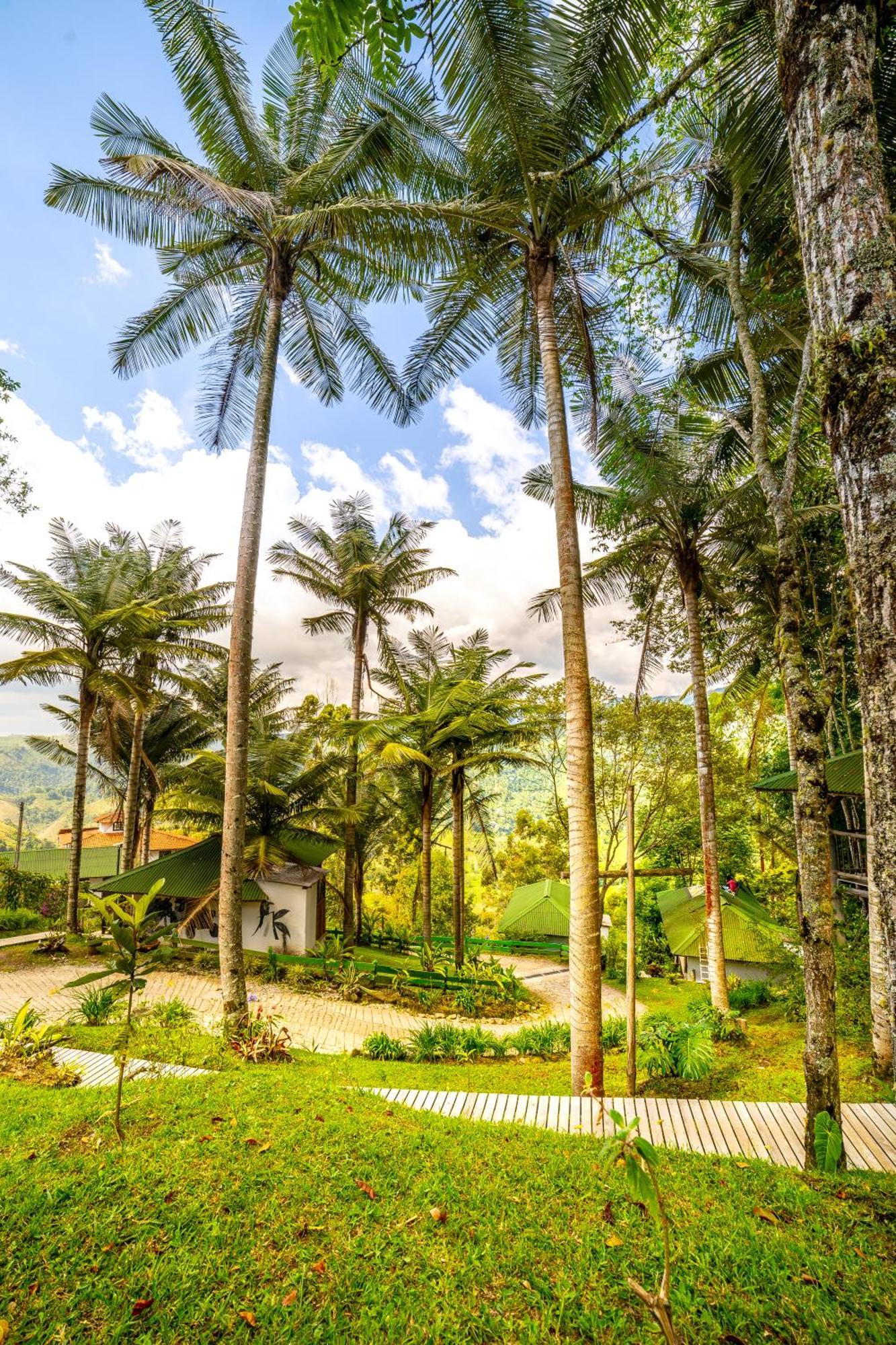 Kawa Mountain Retreat